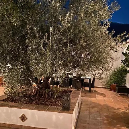Superb In A Beautiful Location Pedro Abad